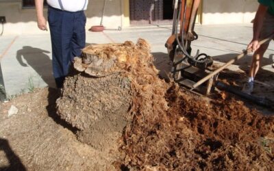 ¿Por qué elegir a Jesús Úbeda para tu proyecto de construcción?